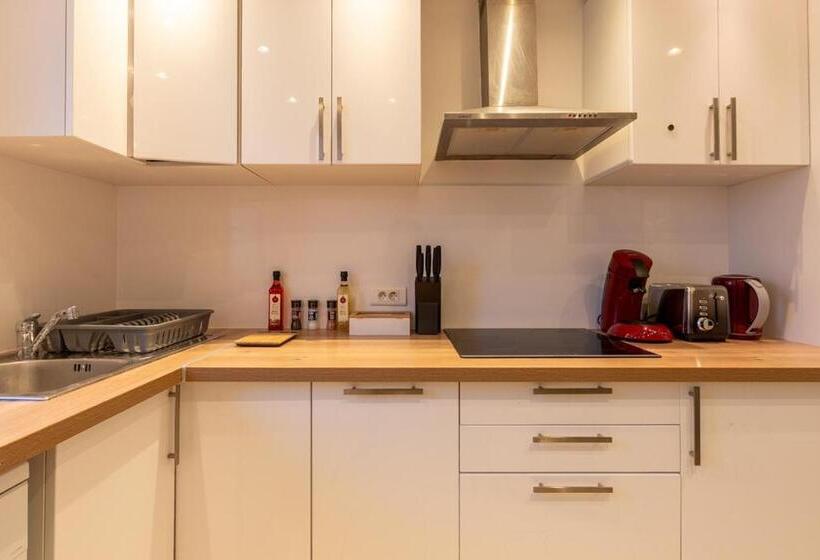 Апартаменты 1 Спальня, Le Beau Refuge Parisien De Cergy   Parisian Modern Flat At Cergy