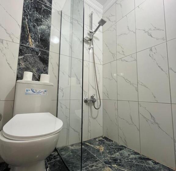 标准工作室, 3 ) Taksim’de Süit Delüxe Otel Odası