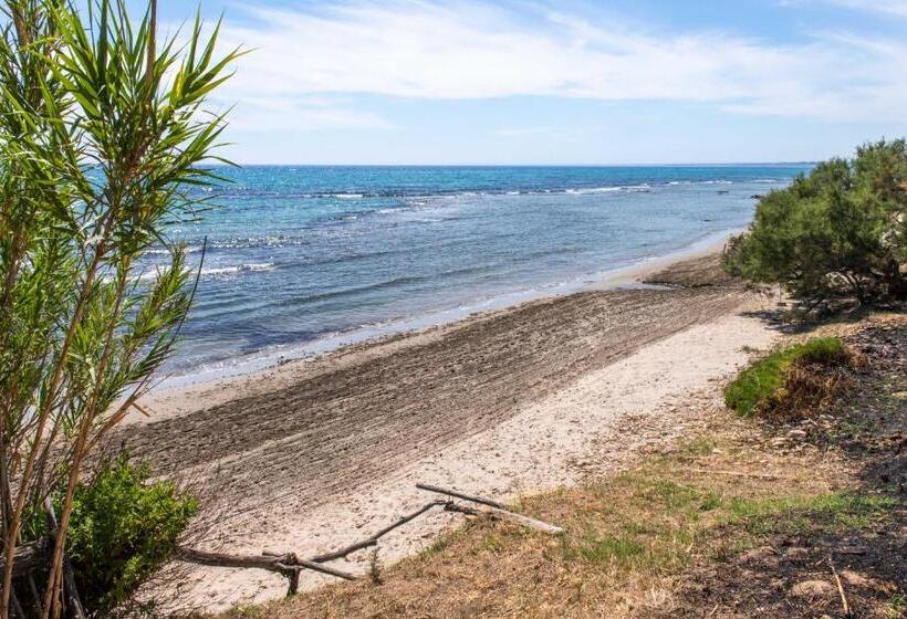 اتاق سوپریور سه تخته, Maragani Beach Rooms & Breakfast
