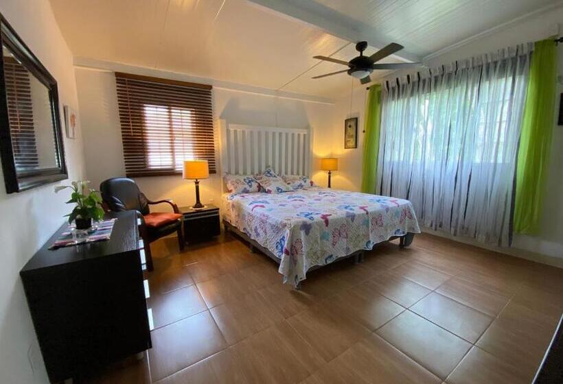 스탠다드 룸, Aeolus Guest House