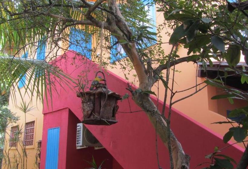 Номер Стандарт Вид на Море, A Casa Do Vizinho