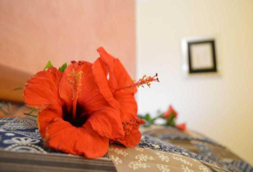 جناح سوبيريور مطل علي البحر, Mar Dei Poeti   Luxury Suites
