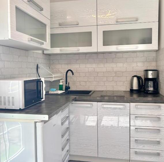 １ベッドルームのデラックスアパートメント, Apartamenty Nexo