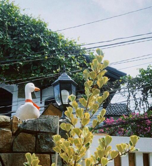 اتاق اکونومی یک تخته, Chái Nho Homestay