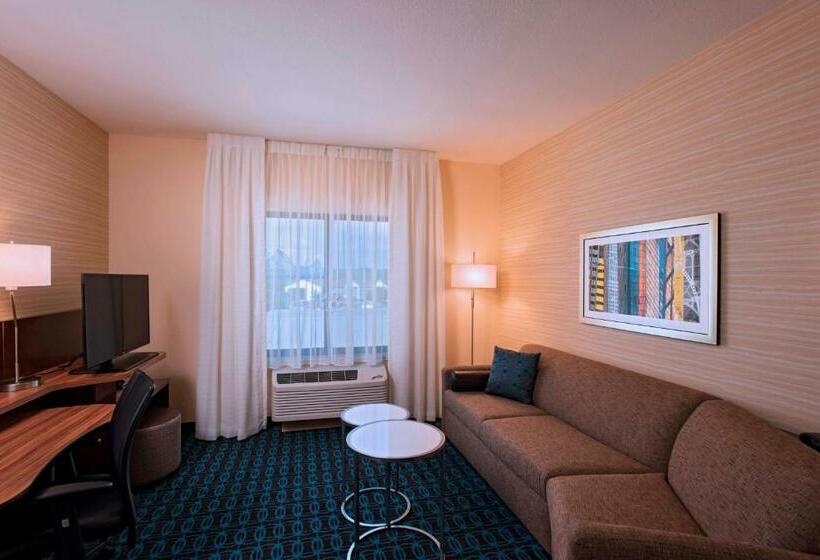 Люкс Кровать Кинг, Fairfield Inn & Suites By Marriott La Crosse Downtown