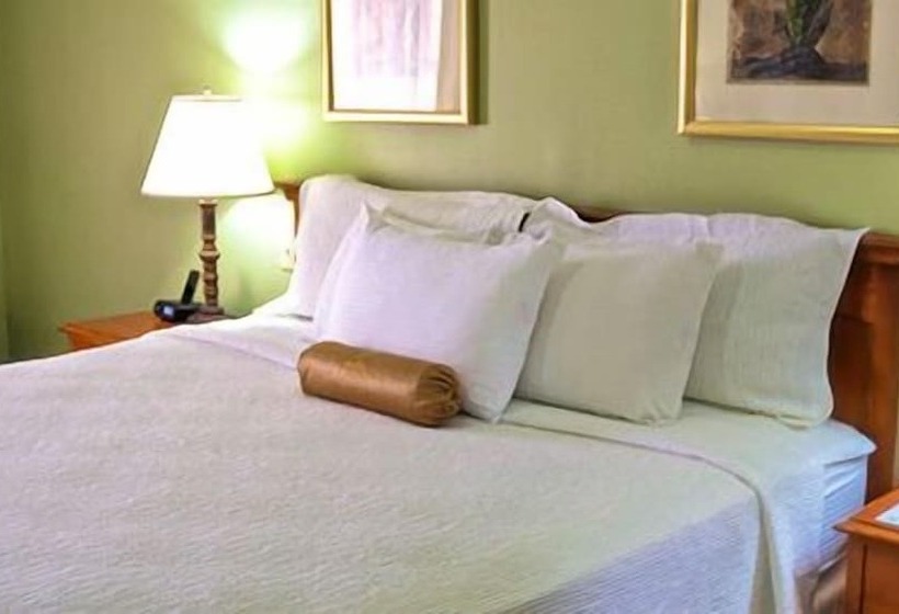 اتاق لوکس, Regency Hotel Fairmile
