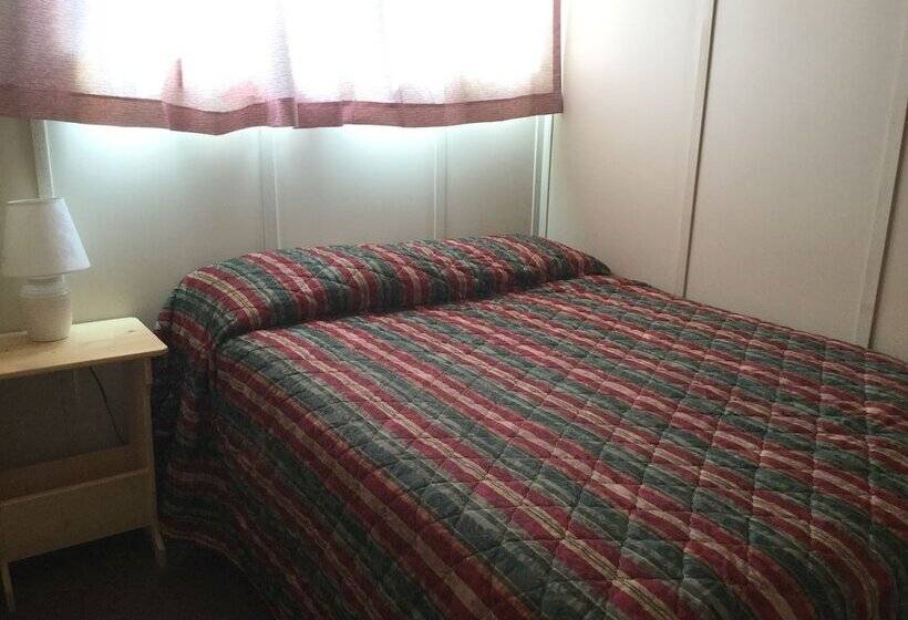 豪华套房, Cedars Motel