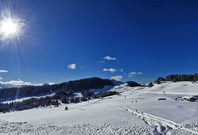 اتاق اکونومی, Auberge Du Fraizier