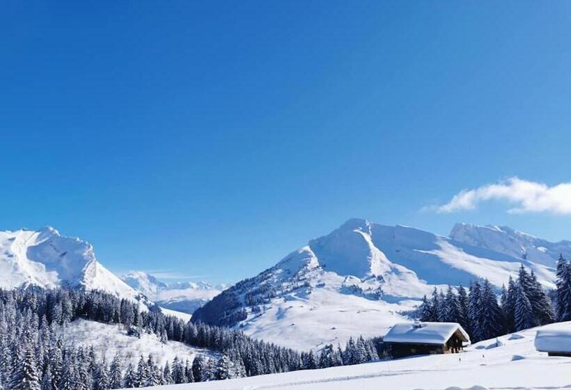 اتاق اکونومی, Auberge Du Fraizier