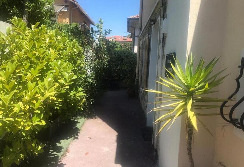 استودیوی استاندارد, Villa Mon Rêve Apartements