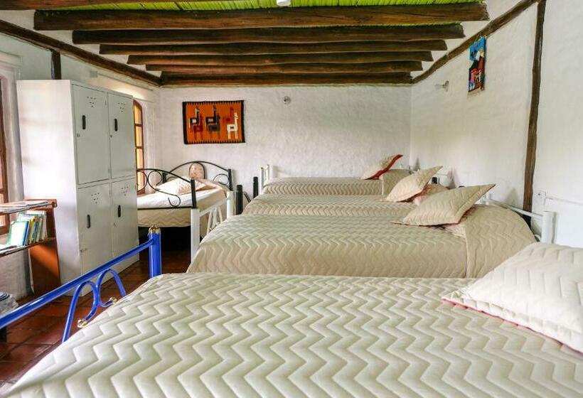 تختخواب در اتاق مشترک, Hosteria Colibri Aeropuerto
