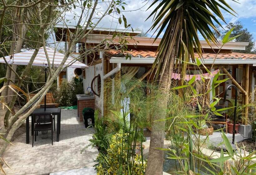 Полулюкс, Hosteria Colibri Aeropuerto