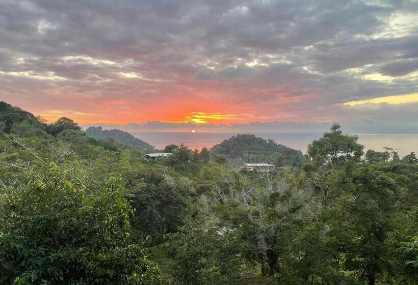 اتاق خانوادگی, Pura Natura Lodge Manuel Antonio