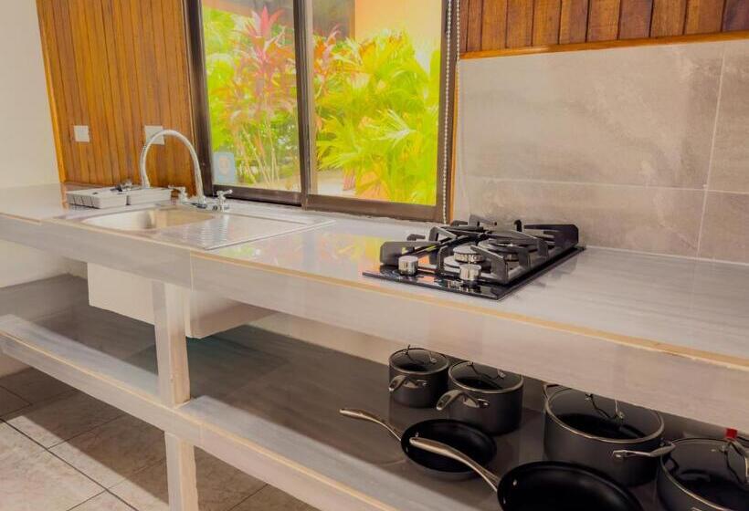 Четырехместный Номер Стандарт Вид на Море, Pura Natura Lodge Manuel Antonio