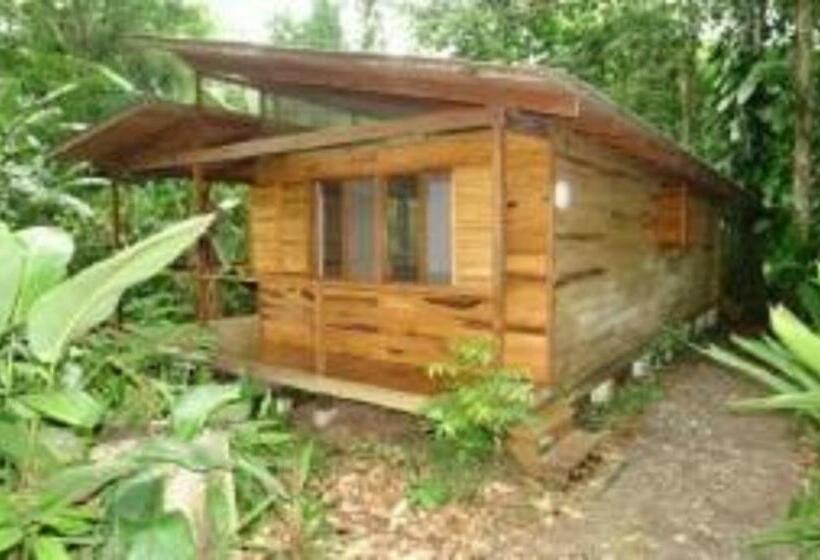 家庭间, El Tucan Jungle Lodge
