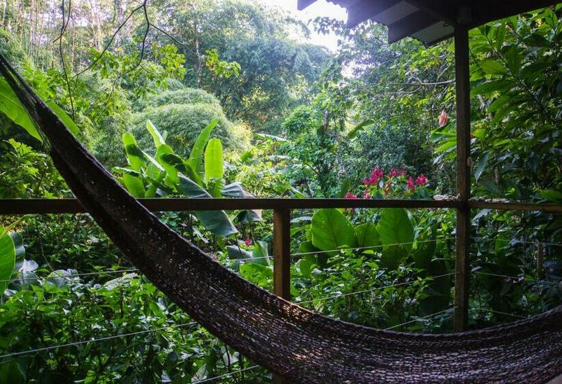 标准间带露台, El Tucan Jungle Lodge