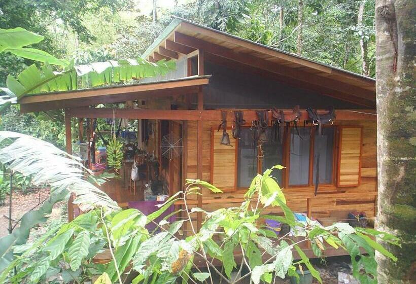 家庭间, El Tucan Jungle Lodge
