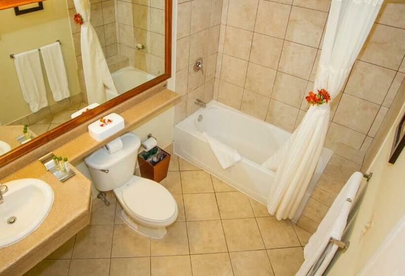 스탠다드 룸 킹사이즈 침대, Fiesta Resort All Inclusive Central Pacific  Costa Rica