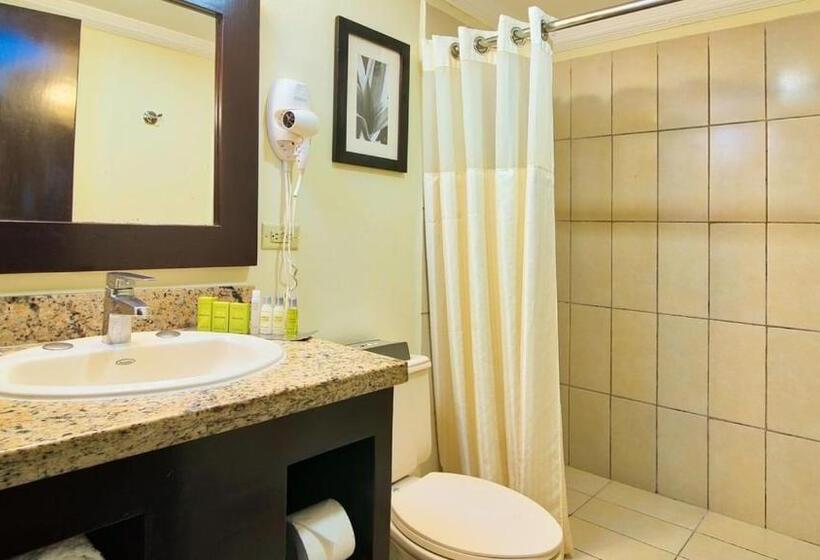스탠다드 룸 킹사이즈 침대, Fiesta Resort All Inclusive Central Pacific  Costa Rica