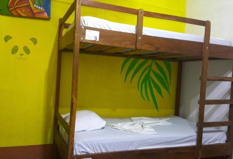 Кровать в Общей Комнате, Casa Moreno   Hostel