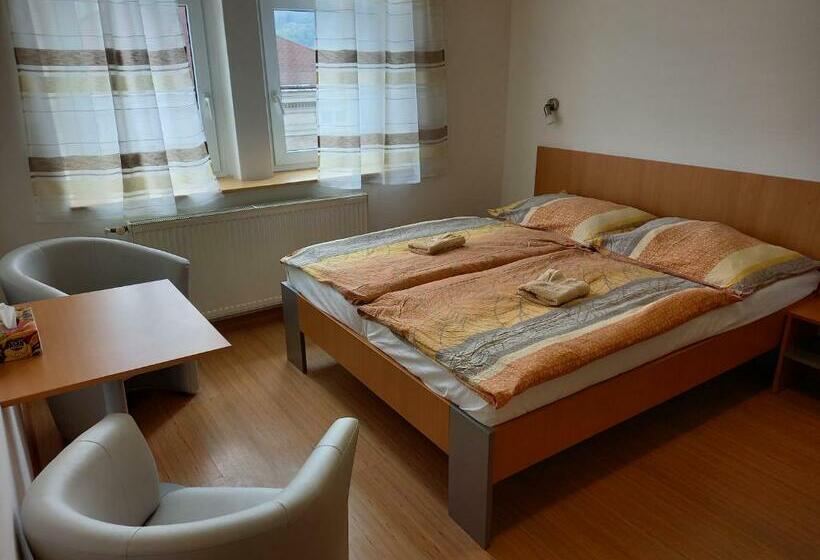 标准间, Hostel Děčín