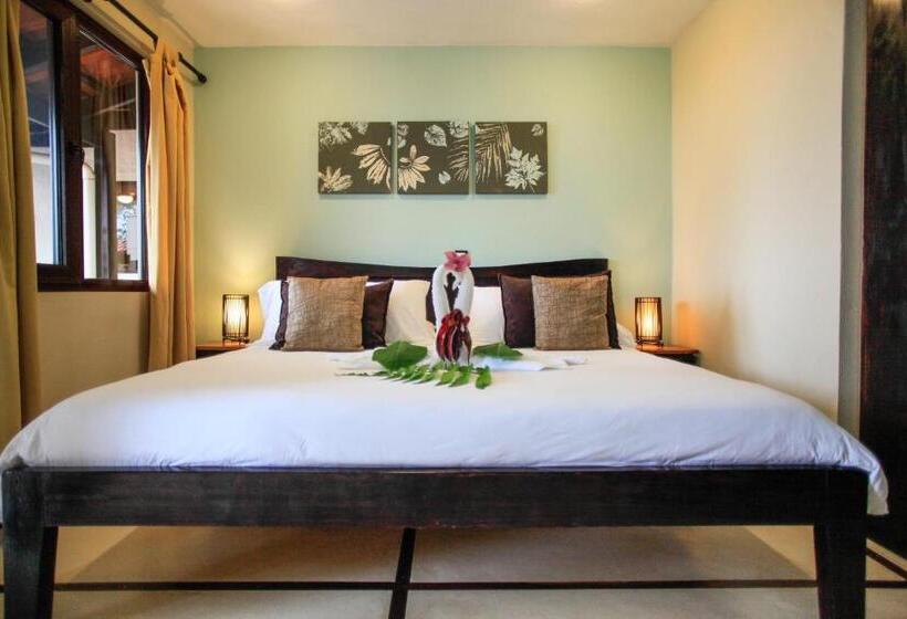 Стандартный Номер Кровать Кинг, Casa Marbella