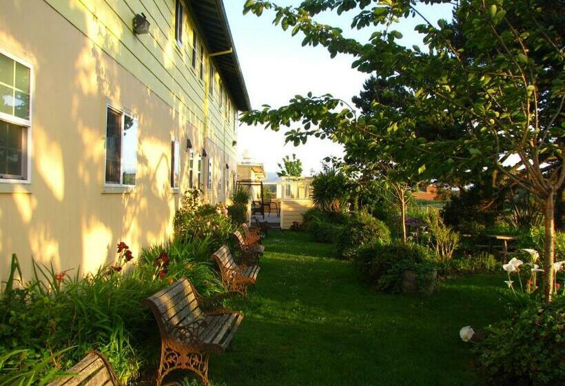 Номер Стандарт, Pacific City Inn