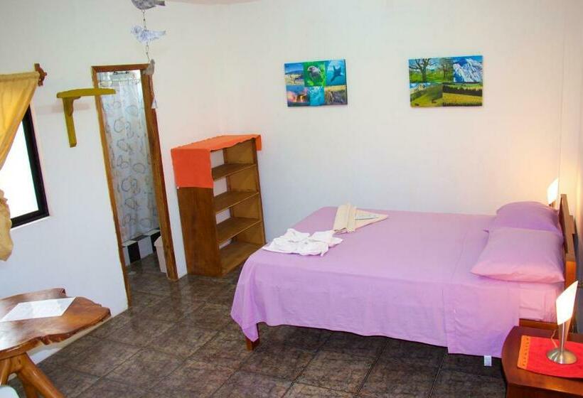 Quarto standard, Hostal Suiza