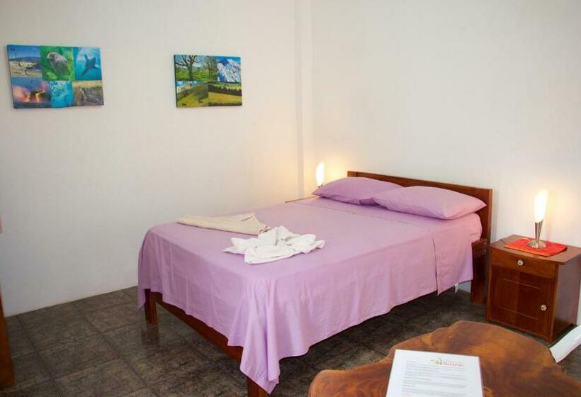 Номер Стандарт, Hostal Suiza