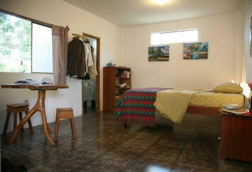 Номер Стандарт, Hostal Suiza