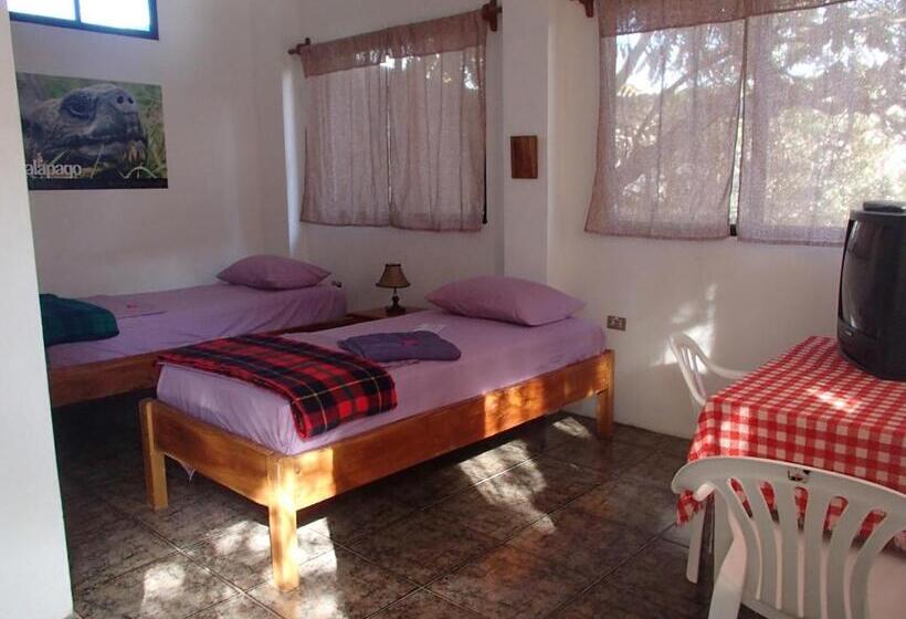Quarto standard, Hostal Suiza