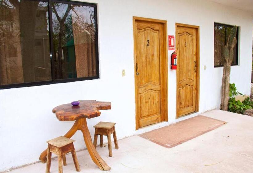 Quarto standard, Hostal Suiza