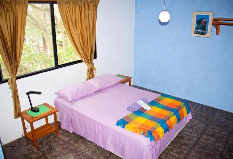 Люкс 2 Спальни, Hostal Suiza