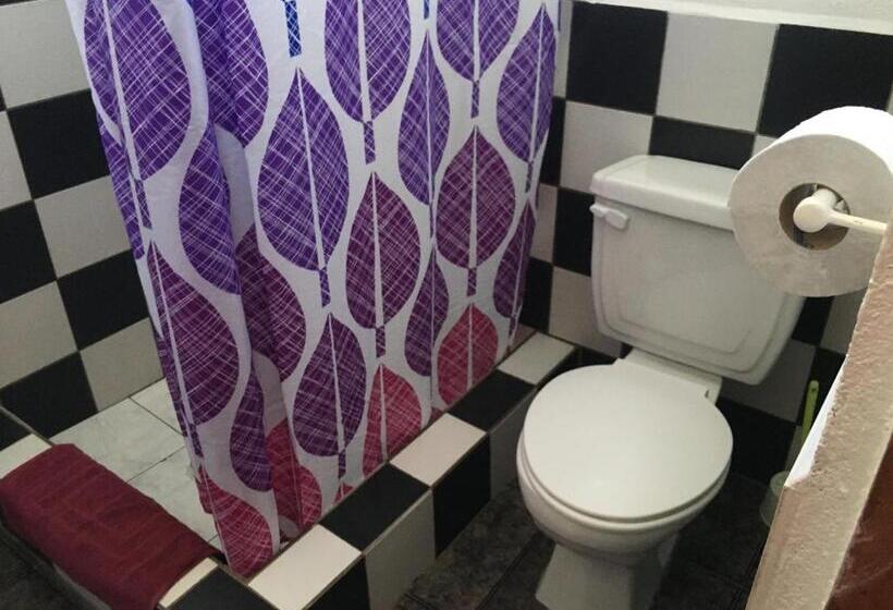 Номер Стандарт, Hostal Suiza