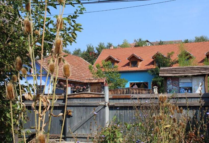 Номер Стандарт, Csipkeszeg Bed & Breakfast Sic / Szék Romania