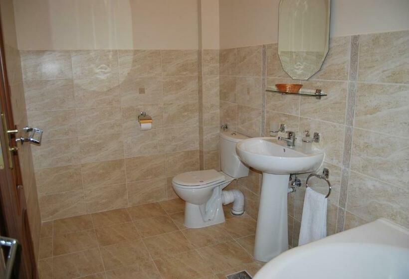 سوییت جونیور, Hostel Paltinis