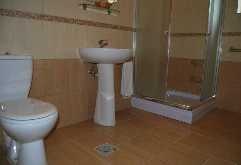اتاق استاندارد سه نفره, Hostel Paltinis
