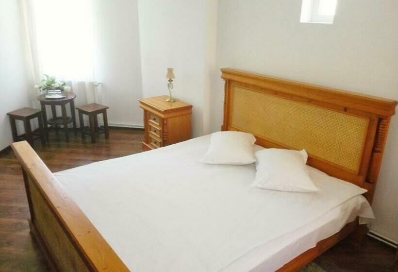 标准间, Vila Carpathia