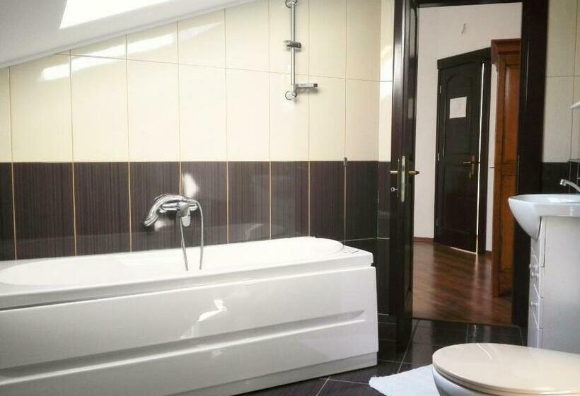 اتاق استاندارد, Vila Carpathia