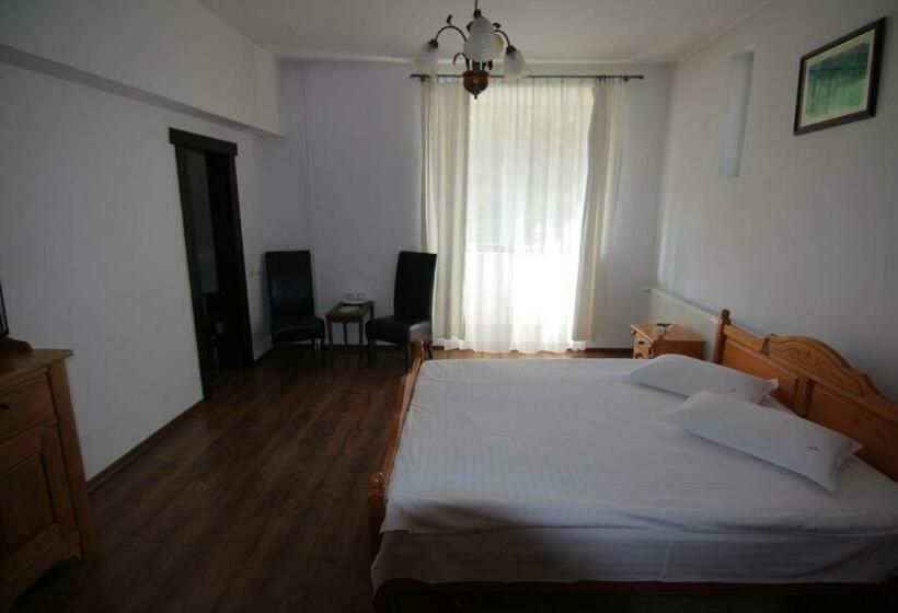 标准间, Vila Carpathia
