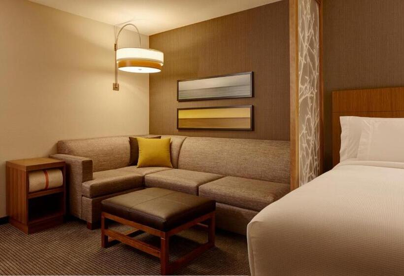 适合残疾人士使用的带超级大床的标准间, Hyatt Place Madison/verona