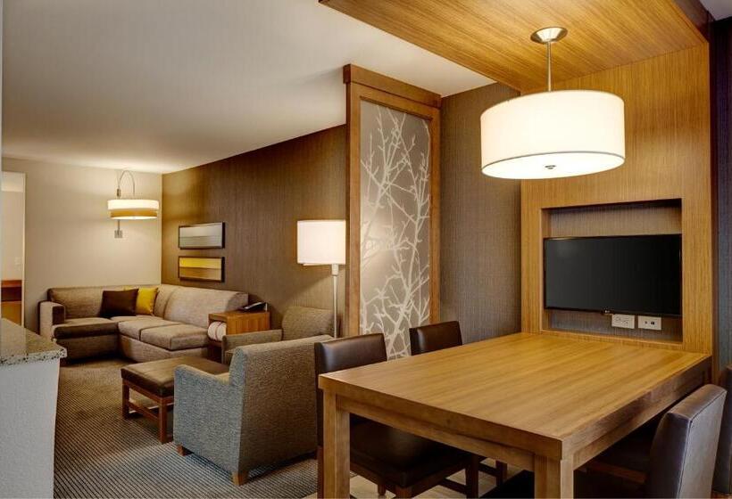 带大床的套房, Hyatt Place Madison/verona