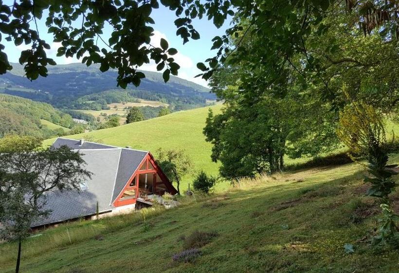 جناح, Le Chat Rouge Chambres D'hôtes De Charme En Alsace