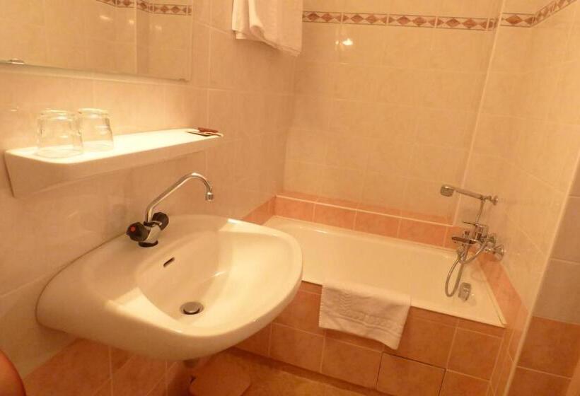 Номер Economy, Hôtel Du Lion D'or