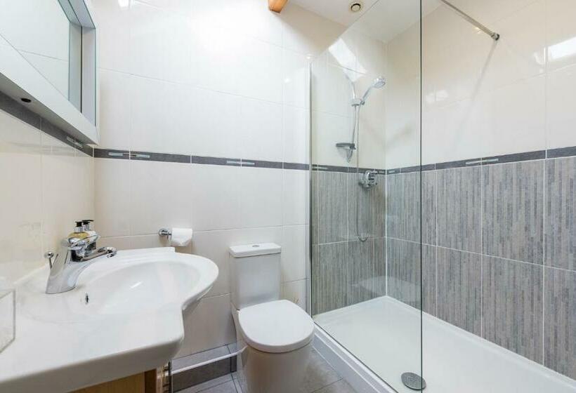 Полулюкс Одноместный с Террасой, Canaston Oaks