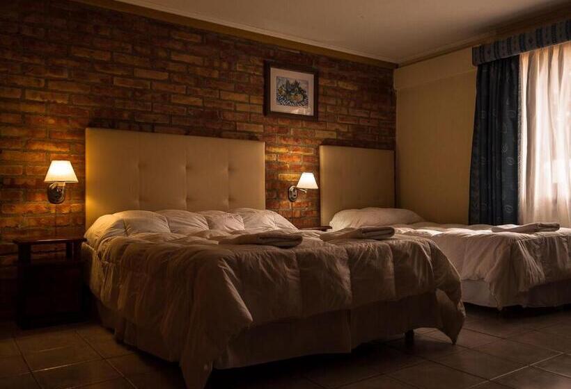 Номер Стандарт, Calafate Hostel