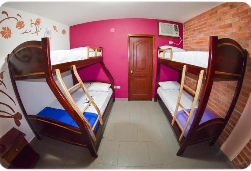 סוויטה משפחתית מוזלת, Olympus