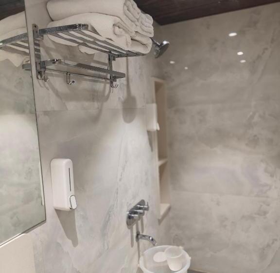 Номер Стандарт Трехместный, Kiara Shirdi Park Inn
