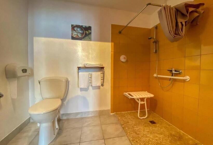 Номер Стандарт Адаптированный для Инвалидов, Hôtel Le P'tit Monde