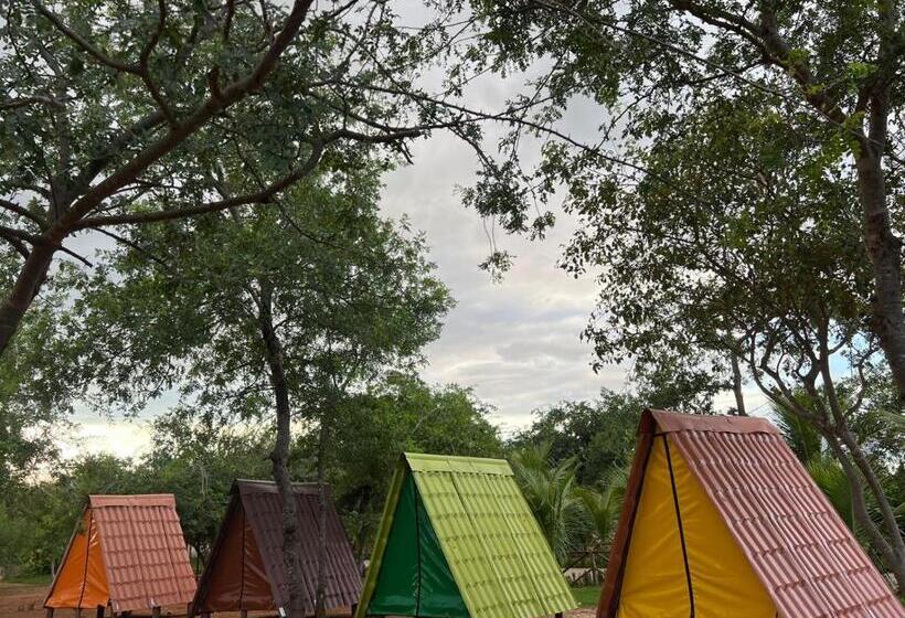 Standard Tent, Fazenda Haras Paraíso Do Atlântico